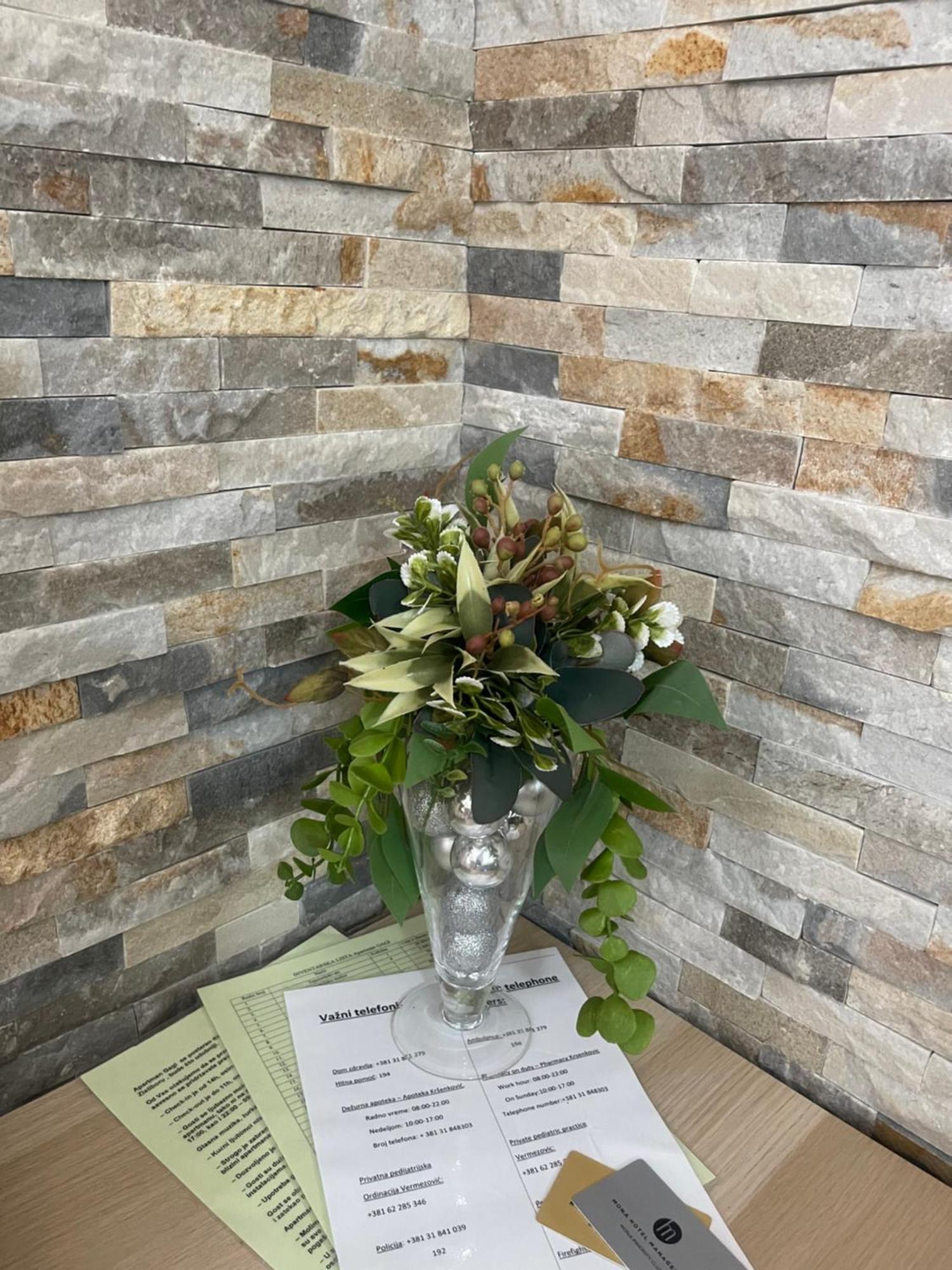 Apartment Gagi Zlatibor